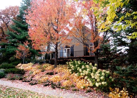 Twin Cities home photographed in fall